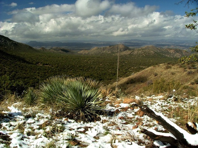 Mexico Border Trail